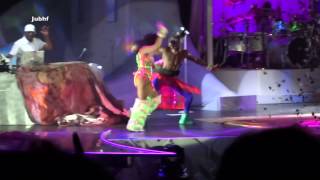 Lady Gaga  Swine Omnisport BercyThe Artpop Ball France 24112014 [upl. by Aroled832]