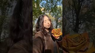 DIY Leaf ROSE Perfect AND Easy FALL Project [upl. by Nerfe]