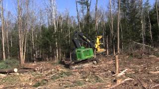 Deere 753J Feller Buncher Cutting Trees [upl. by Llewxam]