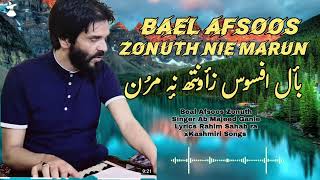 Ab Majeed Ganie Best kashmiri songs  Bael Afsoos Zonuth Nie Marun بأل افسوس زأونُتھ مَرن [upl. by Fita]