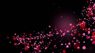 Romantic flying red rose flower petals love heart wedding animated background Hd [upl. by Llennol]