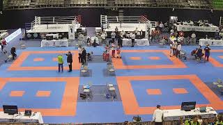 WAKO European Kickboxing Championship Children Cadets amp Juniors 2019  Day 1  Tatami 14 [upl. by Rodrique946]