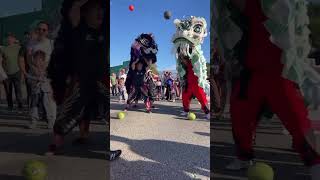 Watermelon cheng  Oklahoma City Asian Night Market 2024 liondance 舞獅 舞狮 barongsai múalân [upl. by Aicrag]