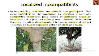 Grafting ।। Grafting Incompatibility ।। Types of Incompatibility ।। quotLearn with AB Tusarquot [upl. by Helyn]