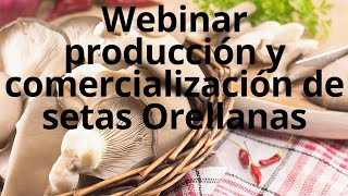 Webinar Setas Orellanas Producción Y Comercialización [upl. by Eiznekam466]