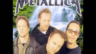 Metallica  Acoustic Metal 1997 [upl. by Okier]