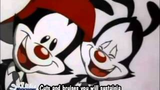 Animaniacs  Dot The Macadamia Nut With lyrics [upl. by Esiuqram]