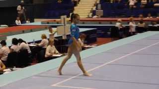 Larisa Iordache  Floor 2014 Romanian Nationals [upl. by Htrowslle638]