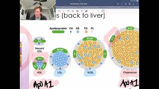 Chylomicrons HDL LDL and Lpa [upl. by Naek258]