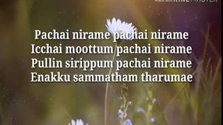 quotPachchai Nirame Sakiyequot song Alaipayuthey 2002 [upl. by Yhtur]