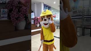 Trolling Paw Patrol In Real Life shorts [upl. by Adaha]