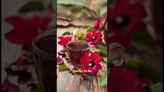 The Secret to Lower Blood Pressure Hibiscus Tea Benefits [upl. by Ahsok]