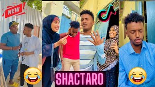 Somali Qosol Badan 2022 New  Somalia Tiktok Live [upl. by Cedric239]