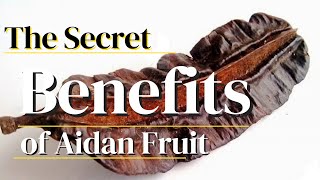 The Secret Benefits of Aidan Fruit [upl. by Tenej63]