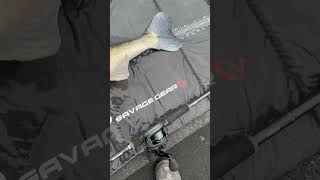 Über solche Beifänge freut man sich doch  zander angeln fishing fishingvideo pikefishing fish [upl. by Hyman]