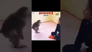 monkey comedy viralvideo motivational [upl. by Ecirtac]