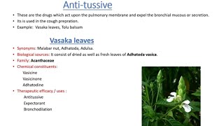 anti tussive vasaka leaves tolu balsam [upl. by Attinahs]