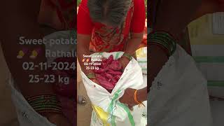 Sweet potato 🍠🍠 Rathalu today bowenpally vegetable market farmersmarket streetfood dty vlogs plz [upl. by Ahtnamas182]