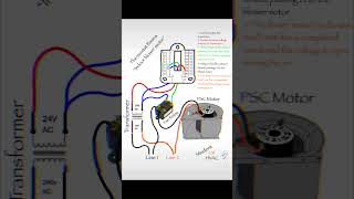 HVAC thermostat wiring basics [upl. by Hutton]