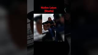 Wollen Leben Studio music achtsamkeit singersongwriter guitar song [upl. by Parlin]