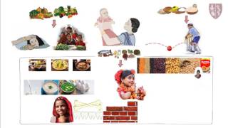 Building Foods Proteins Hindi [upl. by Cence]