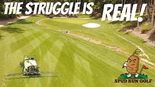 Backyard Golf Course gets sprayed with a real sprayer [upl. by Lourdes]