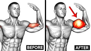 Full Biceps Workout  Short Head  Long Head  Maniac Muscle [upl. by Aizirk]