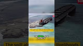 MV Wakashio Breaks Apart  Mauritius Environmental Emergency Unfoldsquotshorts [upl. by Igig]