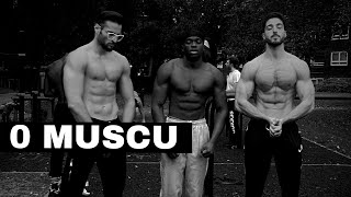 COMMENT TOUJOURS PRENDRE DU MUSCLE en Street Workout [upl. by Reggi541]