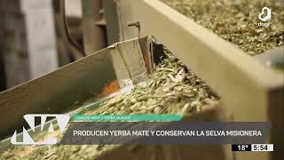 NuestroAgro Yerba Guayaki producción orgánica y regenerativa [upl. by O'Rourke868]