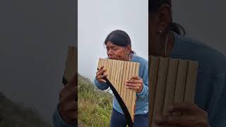 YOU RAISE ME UP panflute quenacho quena nativeflutes zampoña livemusic [upl. by Atinot]