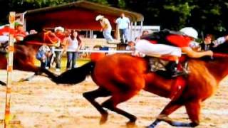 CARRERAS DE CABALLOS EN NORTH CAROLINA [upl. by Chrysler]