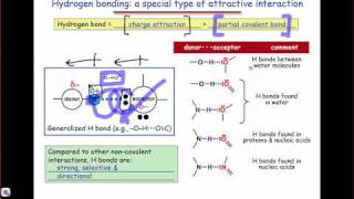 The Nature and Optimal Geometry of the Hydrogen Bond [upl. by Cummins492]