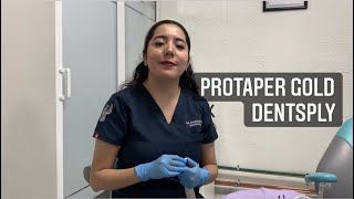 Sistema Protaper Gold características y técnica de uso [upl. by Imer]