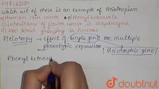 Which out of these is an example of Pleiotropism  CLASS 12  SAMPLE PAPER 6  BIOLOGY  EDUCAR [upl. by Nauh495]