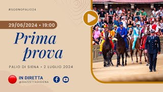 Prima prova  Palio di Siena 2 luglio 2024  SOGNO PALIO [upl. by Birkle]