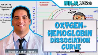 Respiratory  OxygenHemoglobin Dissociation Curve [upl. by Aynwad946]