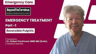 Emergency Treatment Part 1  Reversible Pulpitis  Robert Kaufmann DMD MSEndo [upl. by Lola972]