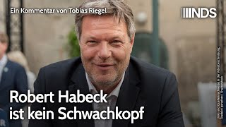 Robert Habeck ist kein Schwachkopf  Tobias Riegel  NDS [upl. by Ecinnahs]