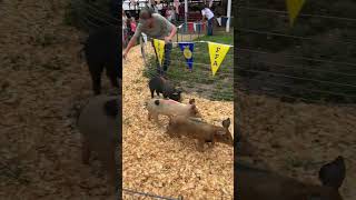 Salem County Fair 2024  Pig Races [upl. by Anitsud]