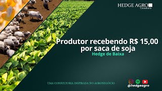 Produtor rural recebendo R 1500 por saca de soja com hedge contra baixa Conheça o resultado [upl. by Harod]