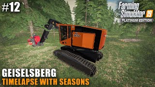 Geiselsberg Timelapse 12 Winter Logging Farming Simulator 19 Seasons [upl. by Naujek]