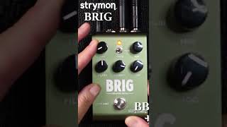 発振もリアルなストライモンのディレイ エフェクター strymon [upl. by Esiuole142]