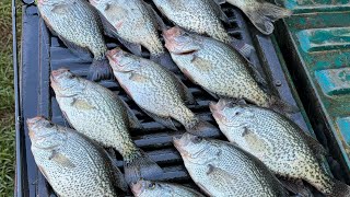 Summertime crappie fishing [upl. by Neelyahs]