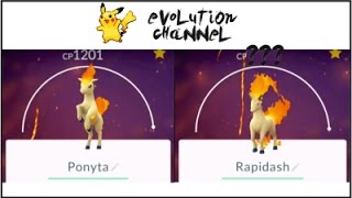 HUGE  1800 CP Rapidash Pokemon go Ponyta1200 Evolution [upl. by Mihar]