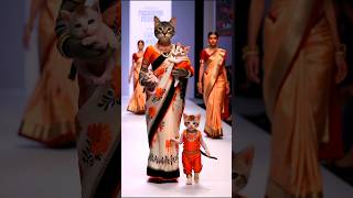 Cats Family Fashion Show 😻💫💃 cat baby shorts trending [upl. by Jeanie]