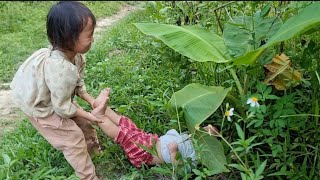 landslide tree fell near the house sister picked fruit to sell bodonthan123 [upl. by Naruq]