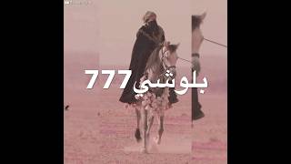 Al Sheikh Mobal  Arabic Song Lyrics  Arabic Status  Tiktok Trending [upl. by Lahcar]