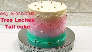 ഒരു കിലോ tall കേക്ക് treslechestallcake 1 kg tall cake recipe [upl. by Guenzi660]