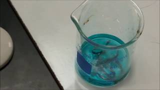 Empirical Formula Experiment  copper chloride hydrate [upl. by Belshin721]